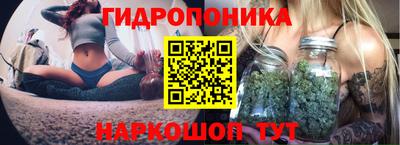 дурь Гагарин