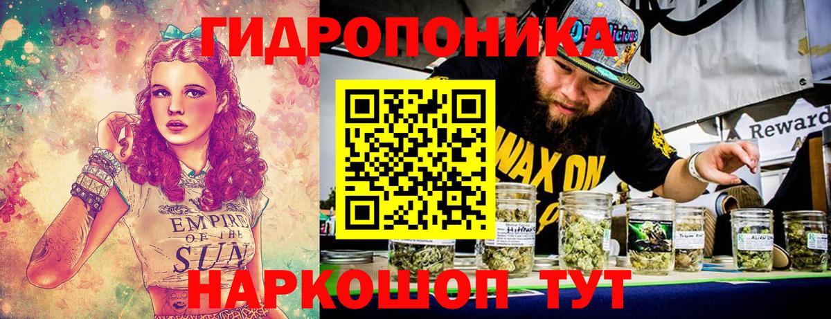 Конопля план  Вход с VPN  Нижневартовск  Канабис сатива  Конопля White Widow 